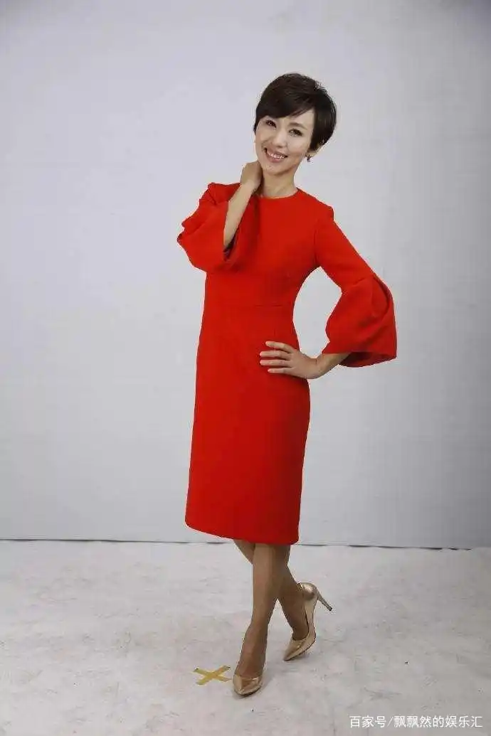 欧阳夏丹 主持生涯 电视人生_央视女主持人欧阳夏丹