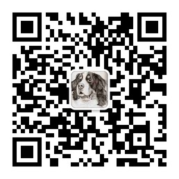 微信开放平台跨出友好一步，Python（bottle）版代码调试指南