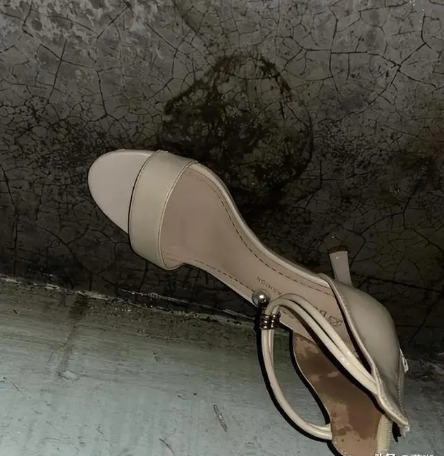 四川卫视主持人佟瑶_佟瑶主持生涯经历_四川卫视主持人马跃征