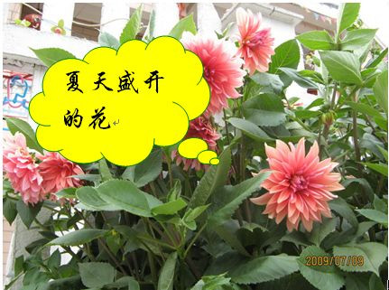 word中如何在图片上输入文字与图形