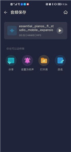audioeditor pro