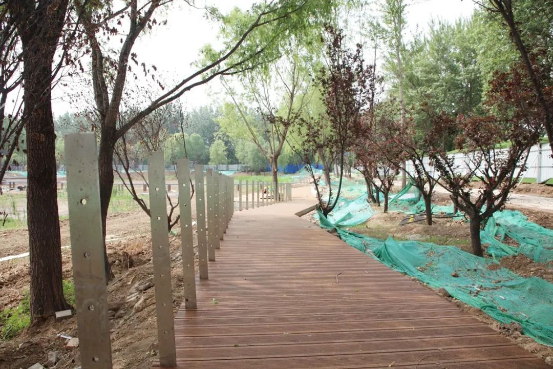 罗马东湖滨水景观提升_后沙峪金融商务区规划_后沙峪镇罗马东湖生态治理工程