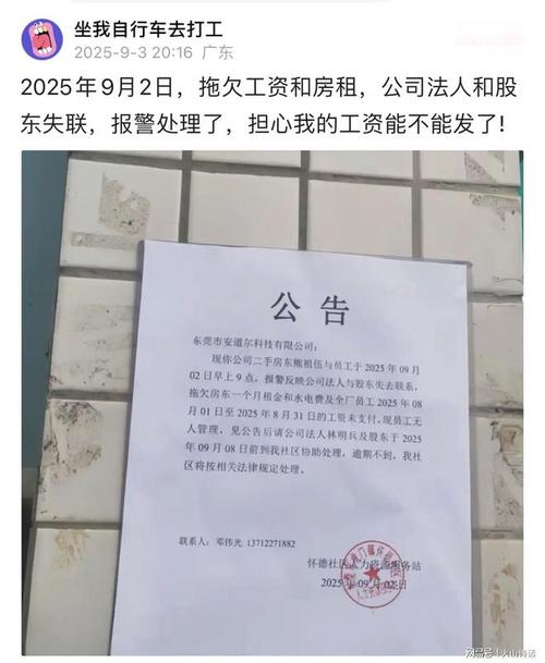 石头理财逾期维权_石头理财负面消息_河南石头理财跑路