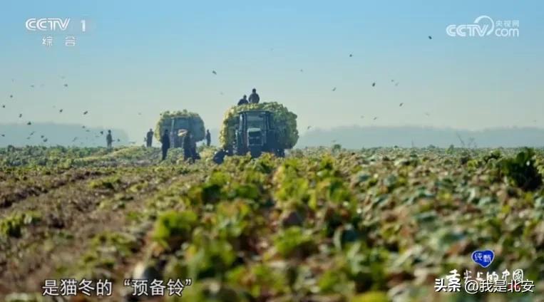 北安市融媒体中心_北安新闻联播直播昨天_重大活动直播解锁高难度