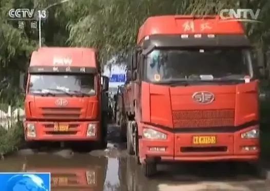 白菜的价格走势_钢铁白菜价财经_白菜价格未来走势