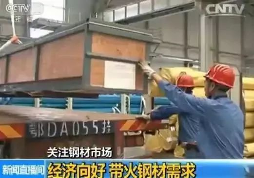 白菜的价格走势_白菜价格未来走势_钢铁白菜价财经