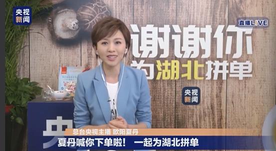 欧阳夏丹离开央视去向成谜，竟是因要照料患病母亲？