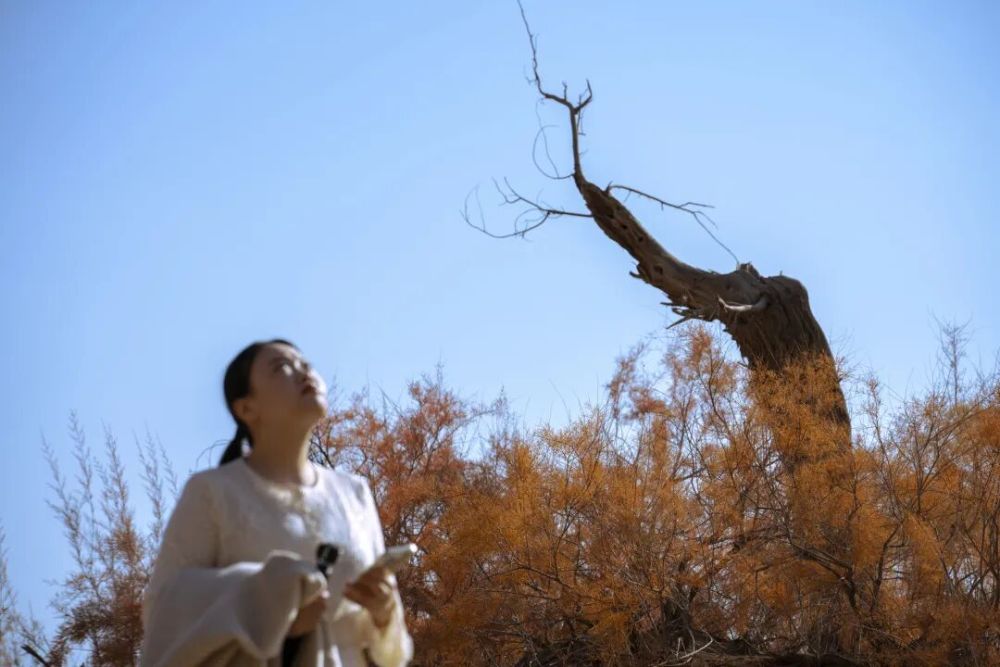 2025年你最满意的一张照片 征集活动 精选佳作_从飞机窗户拍照图片