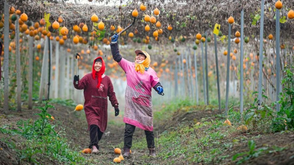 2025年你最满意的一张照片 征集活动 精选佳作_从飞机窗户拍照图片