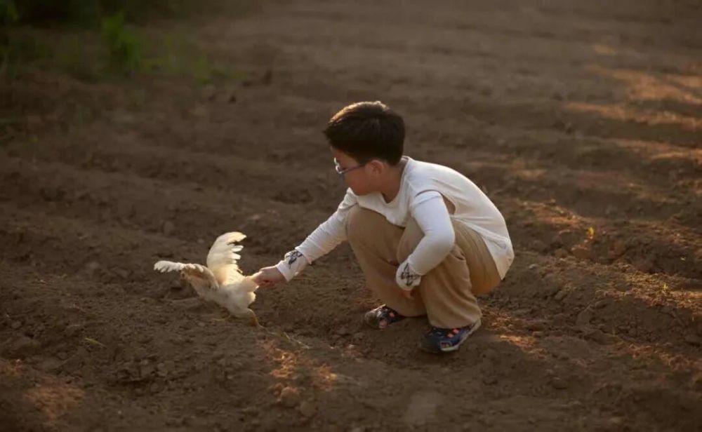从飞机窗户拍照图片_2025年你最满意的一张照片 征集活动 精选佳作