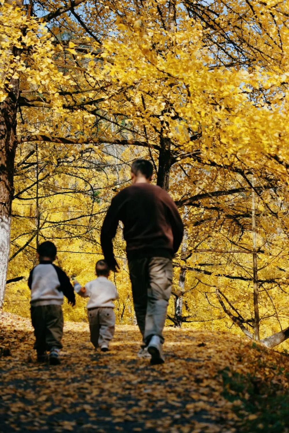 哪张照片,能定义你的2025年?先看看他们的答案