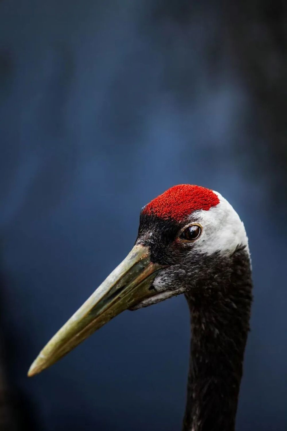 哪张照片,能定义你的2025年?先看看他们的答案