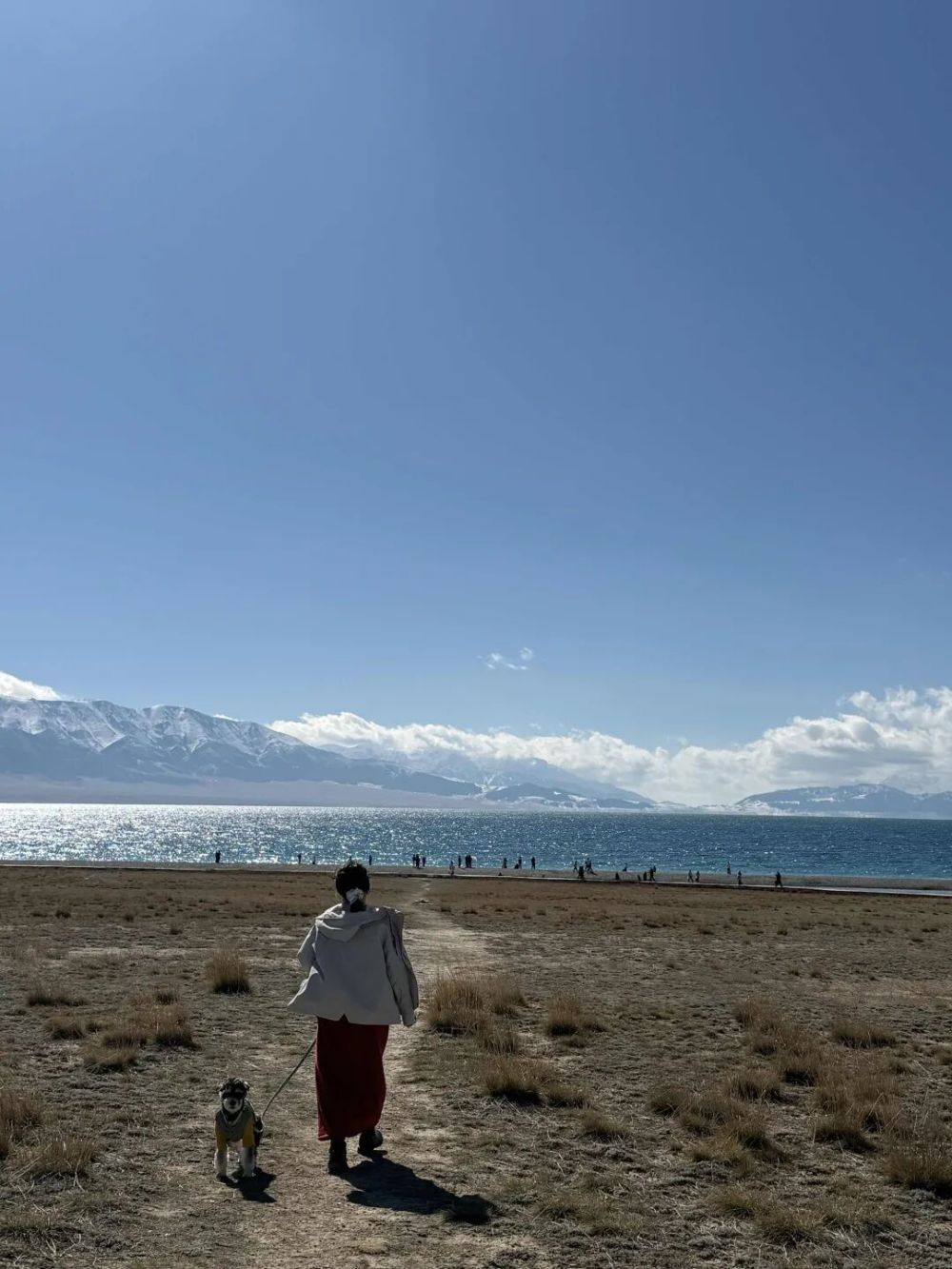 哪张照片,能定义你的2025年?先看看他们的答案