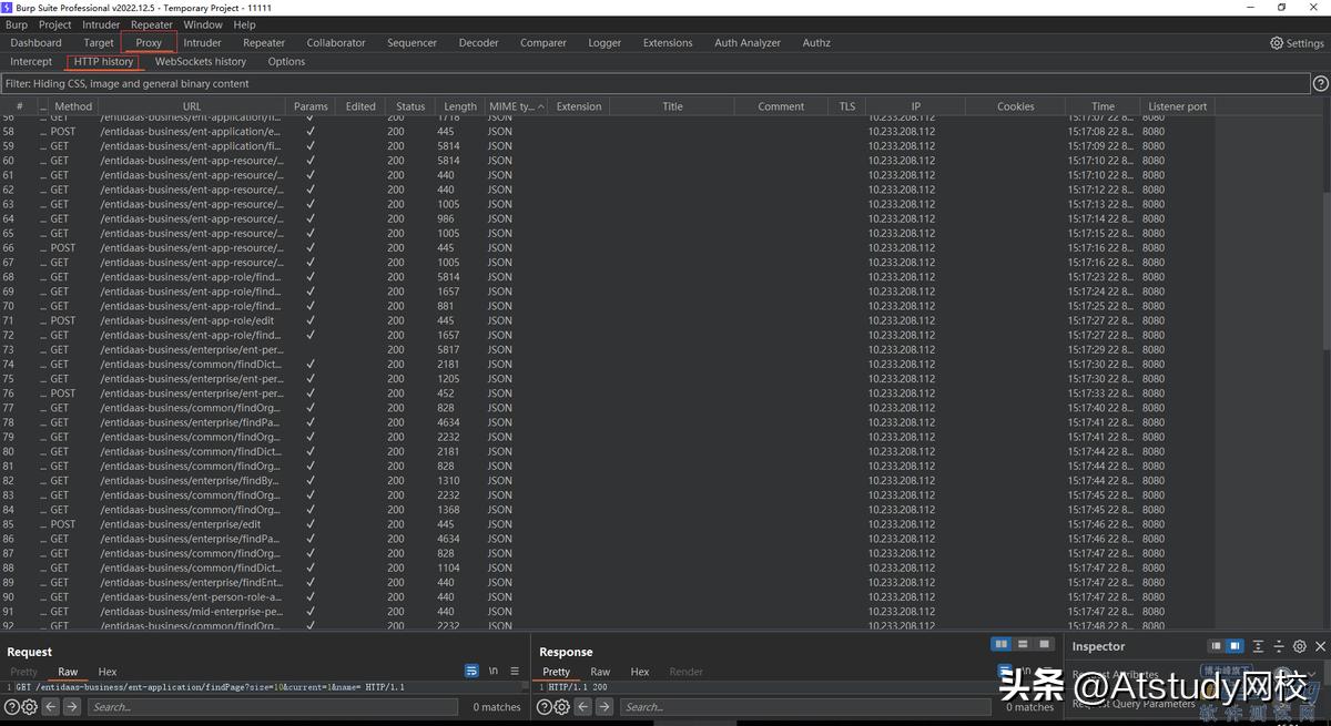 网站用burpsuite抓不到包_Burp Suite Auth Analyzer插件_接口越权测试