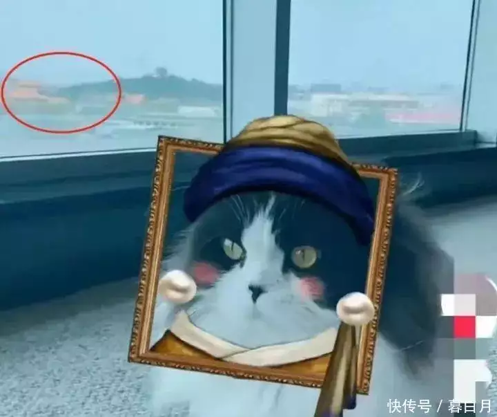 王艳富豪丈夫已被限消_王艳老公王志才图片_王艳直播带货销售额超3000万