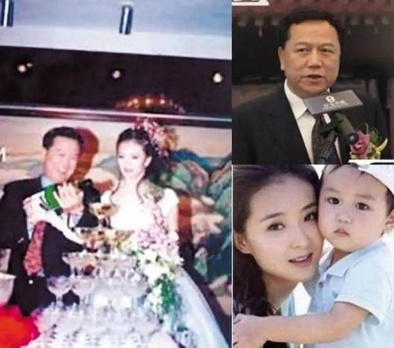 王艳老公王志才被限制高消费，儿子保送北大