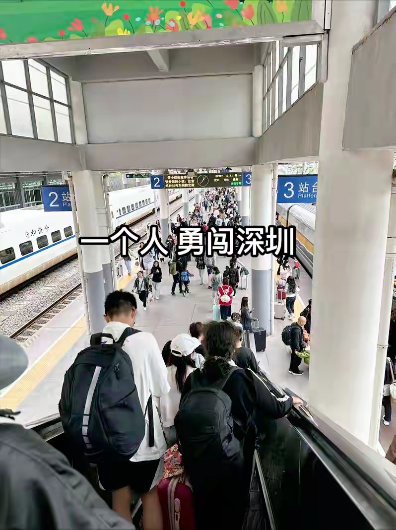 红岭创投 分公司_红岭创投第一次退赔登记 深圳数字法庭 首批10亿退赔