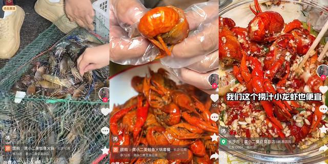 长沙小龙虾线上营销_长沙小龙虾攻略_湖南都市频道 都市晚间 长沙美食