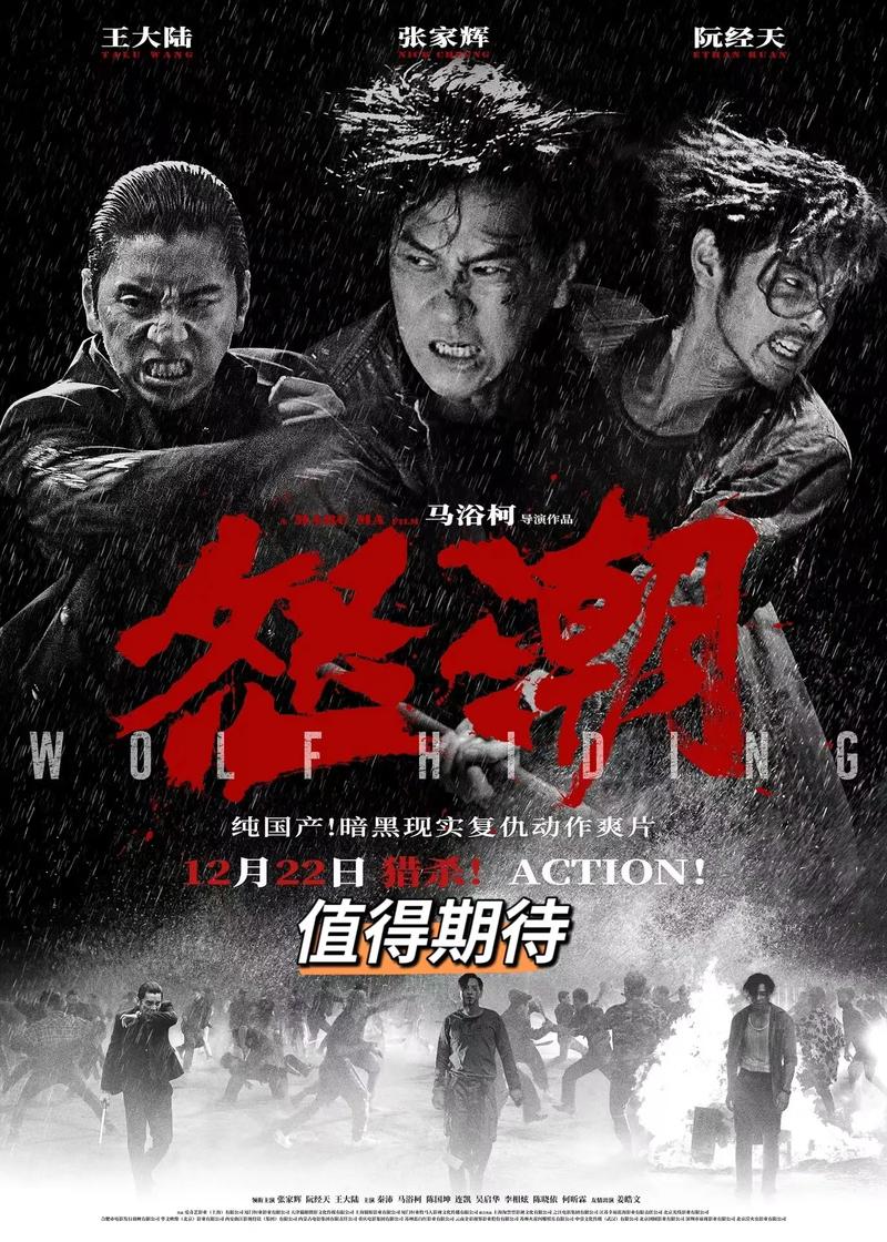 最近新上映的动作电影_安志杰伍允龙怒袭网络电影动作片_谢苗东北警察故事3动作电影推荐