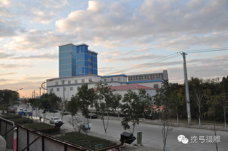阿城涤纶厂发展历程_龙涤厂历史沿革_龙涤股份最新消息